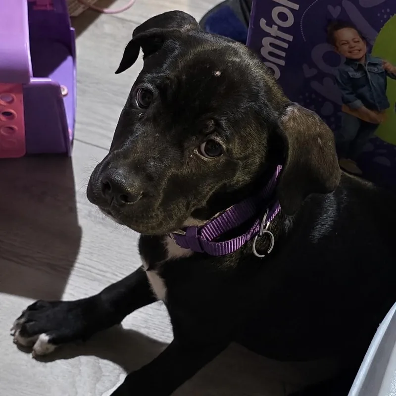 Luna