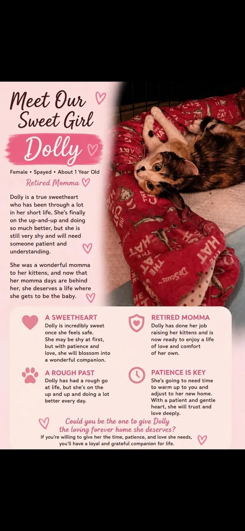 Dolly thumbnail 3