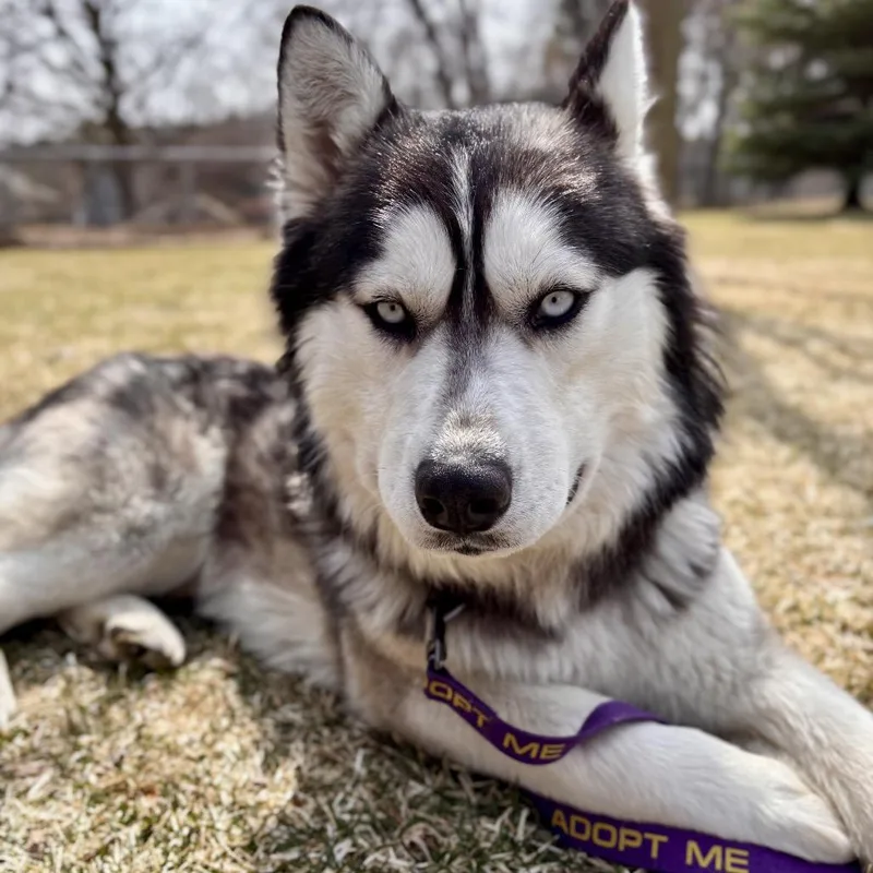 Luka