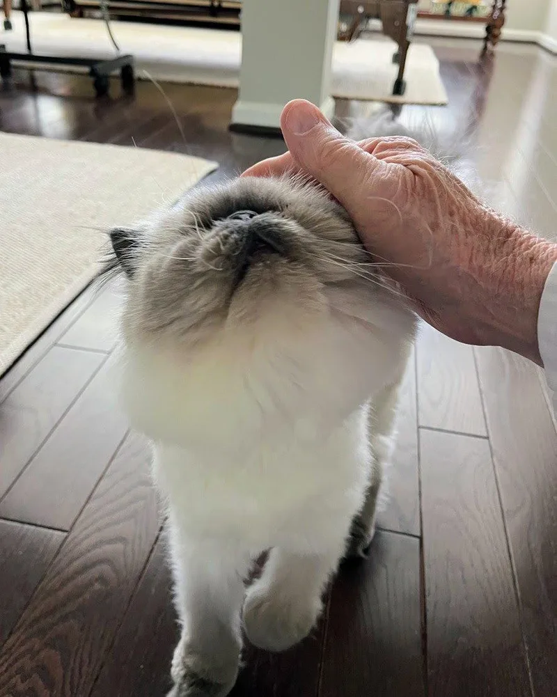 Matilda Rose thumbnail 2