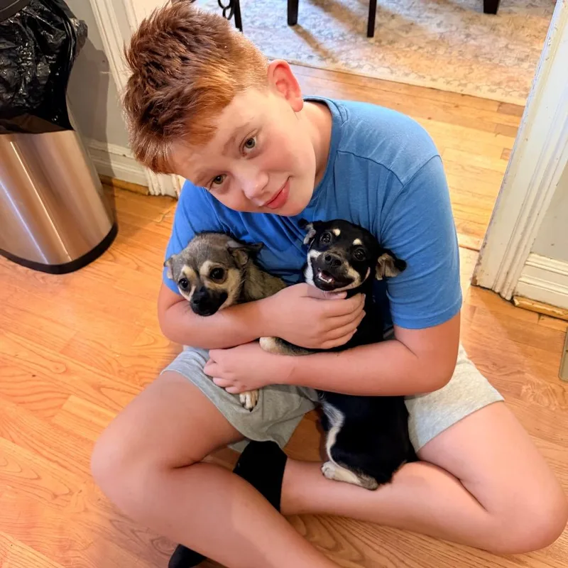 Andy thumbnail 2