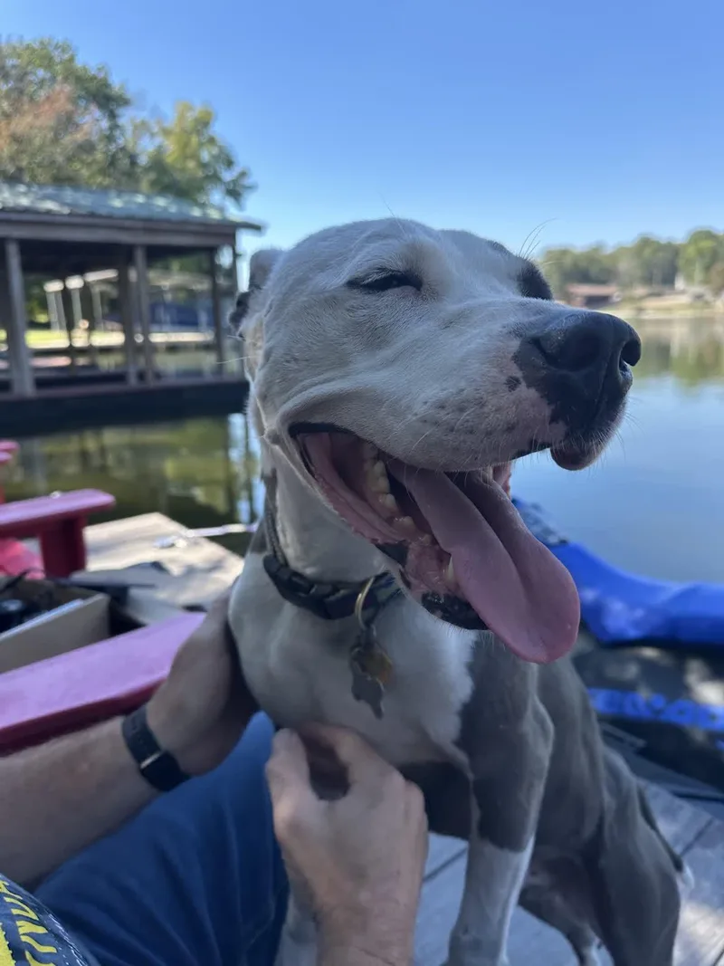 Christopher thumbnail 2