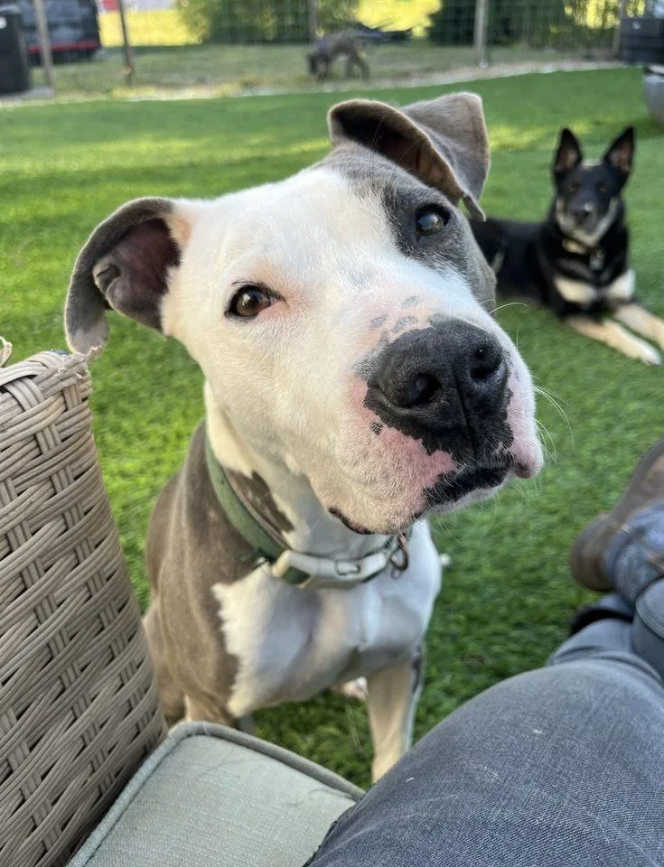 Christopher thumbnail 3