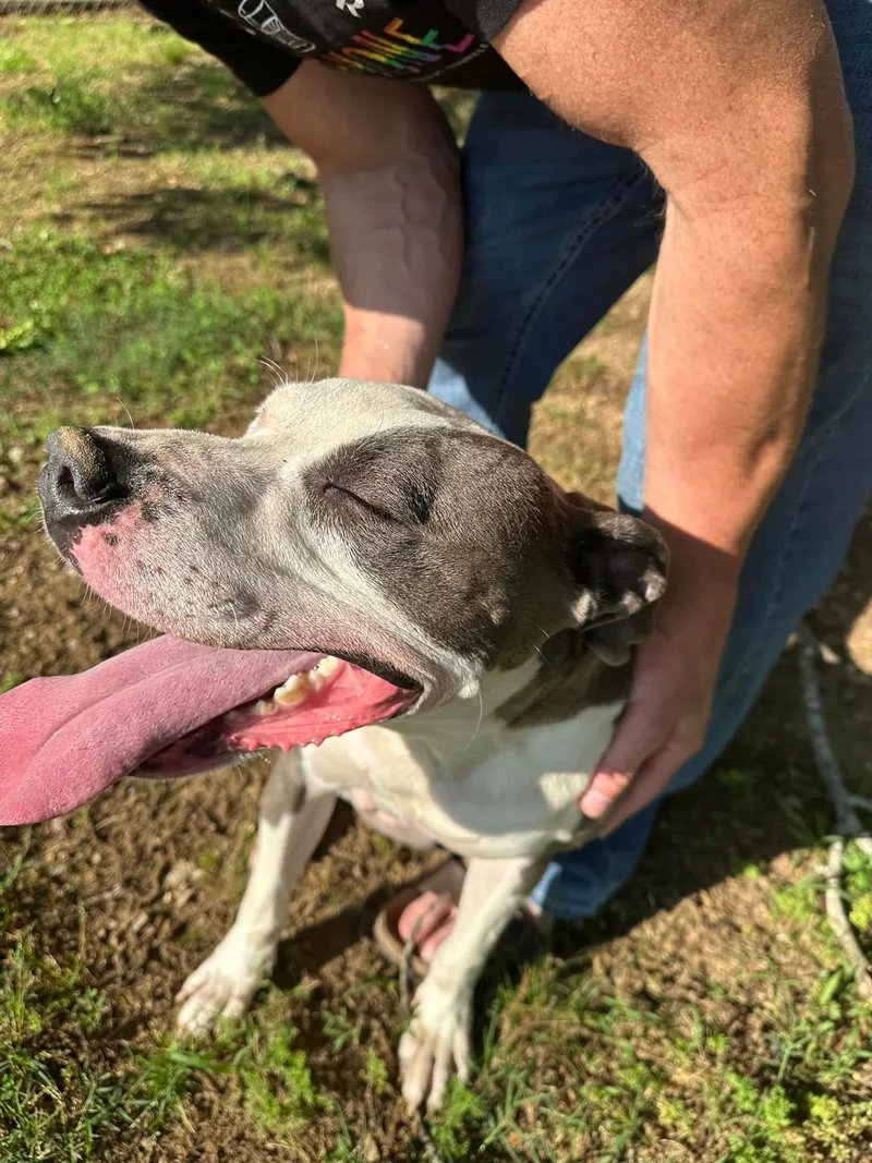 Christopher thumbnail 4