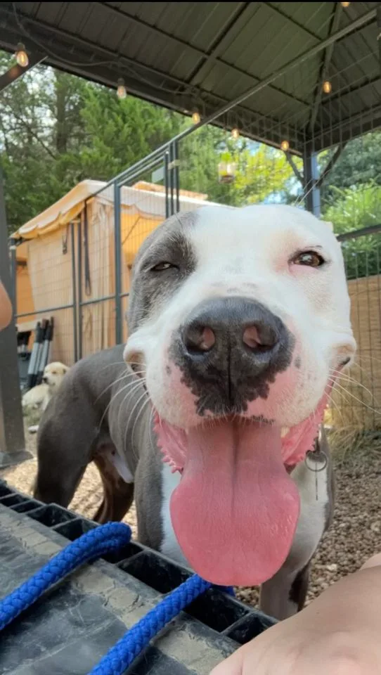 Christopher thumbnail 5