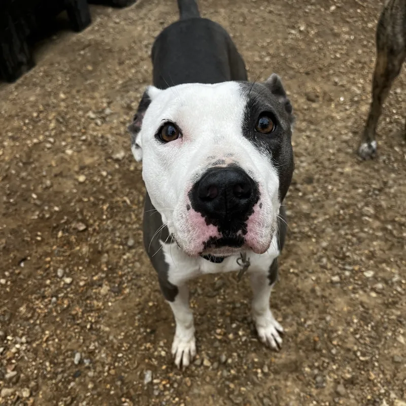 Christopher thumbnail 6