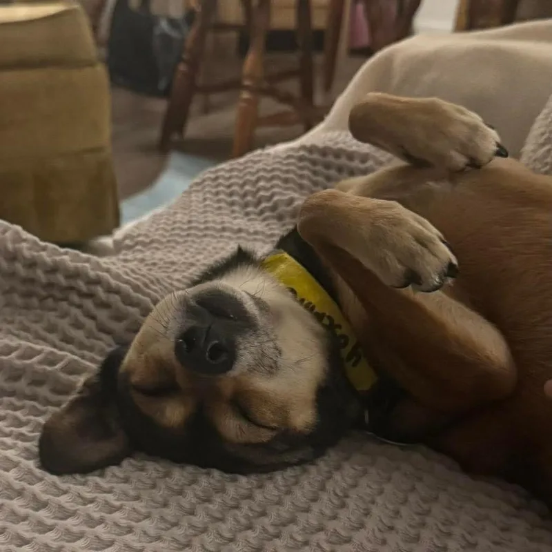 Yosemite thumbnail 3