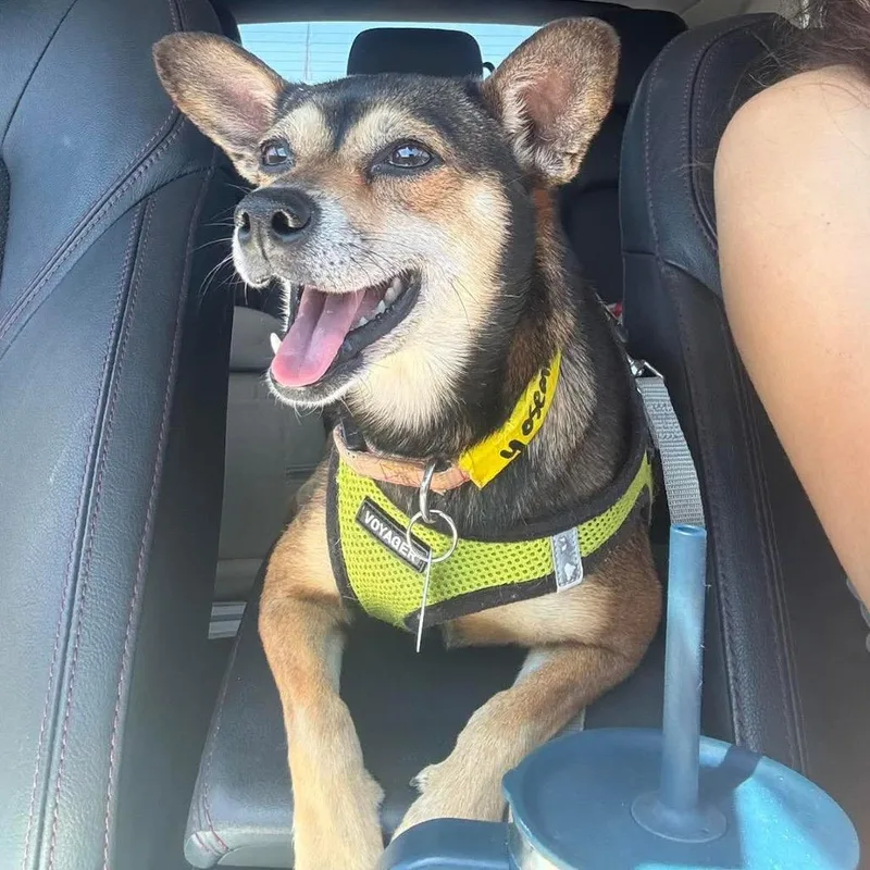 Yosemite thumbnail 4