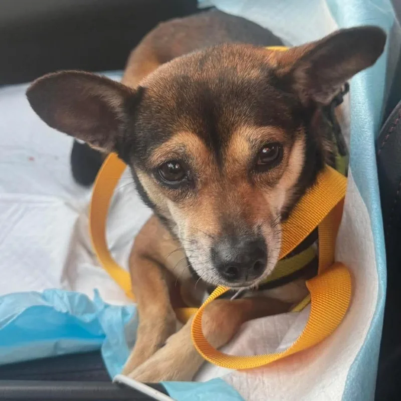 Yosemite thumbnail 5