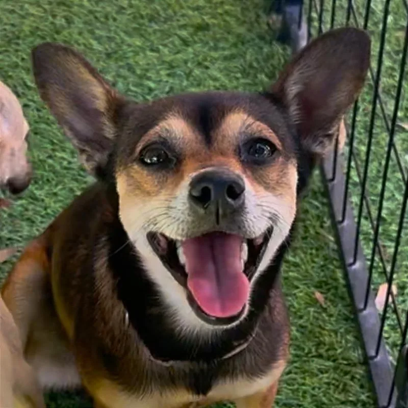 Yosemite thumbnail 6