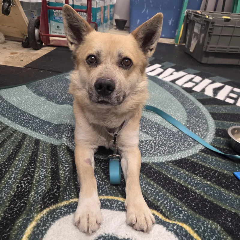 Nelsonso Sweet; Loves His thumbnail 2