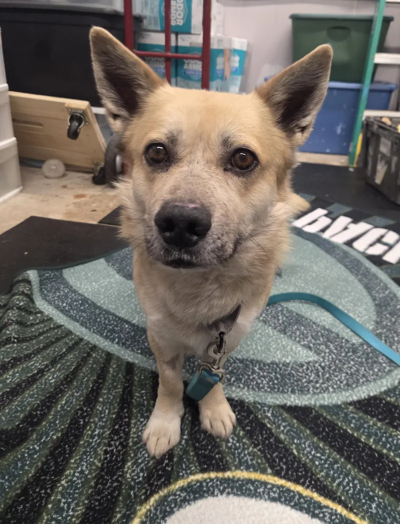 Nelsonso Sweet; Loves His thumbnail 3