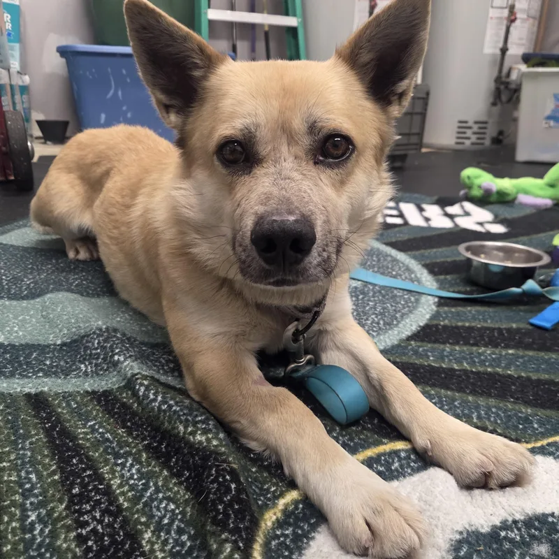 Nelsonso Sweet; Loves His