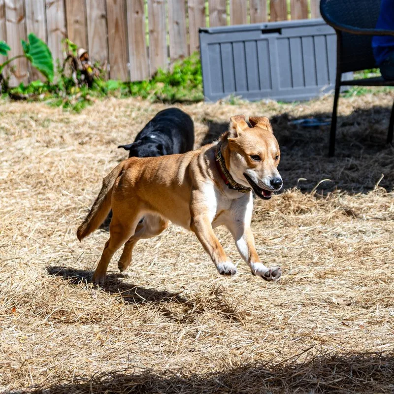 Catalina thumbnail 2