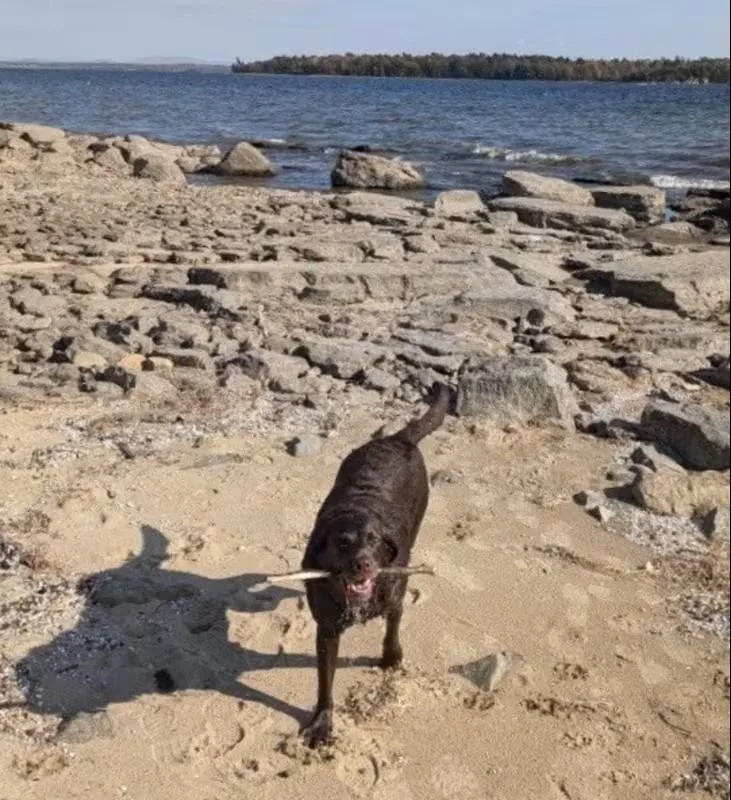 Shirley Courtesy Listing thumbnail 3