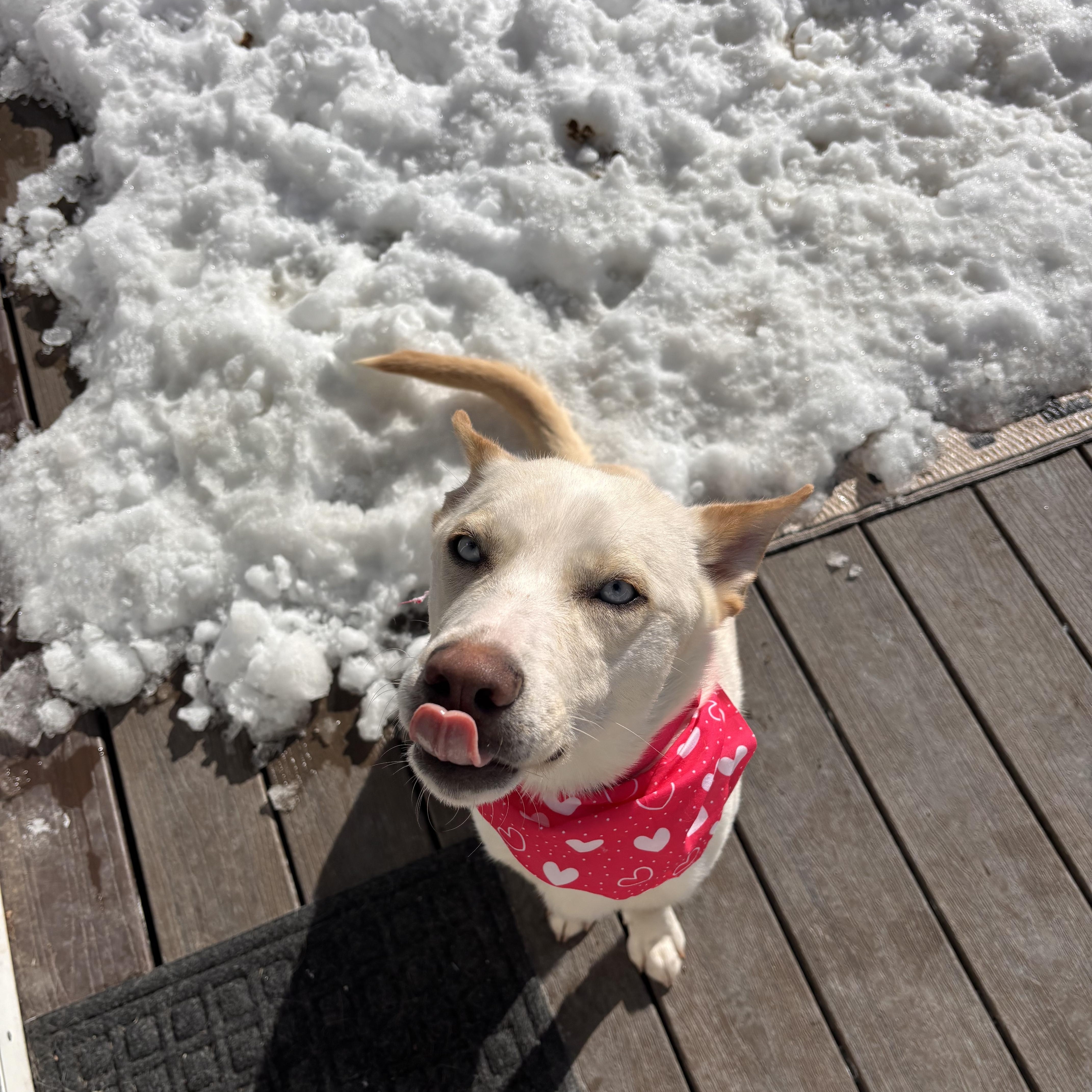 Snow White thumbnail 2