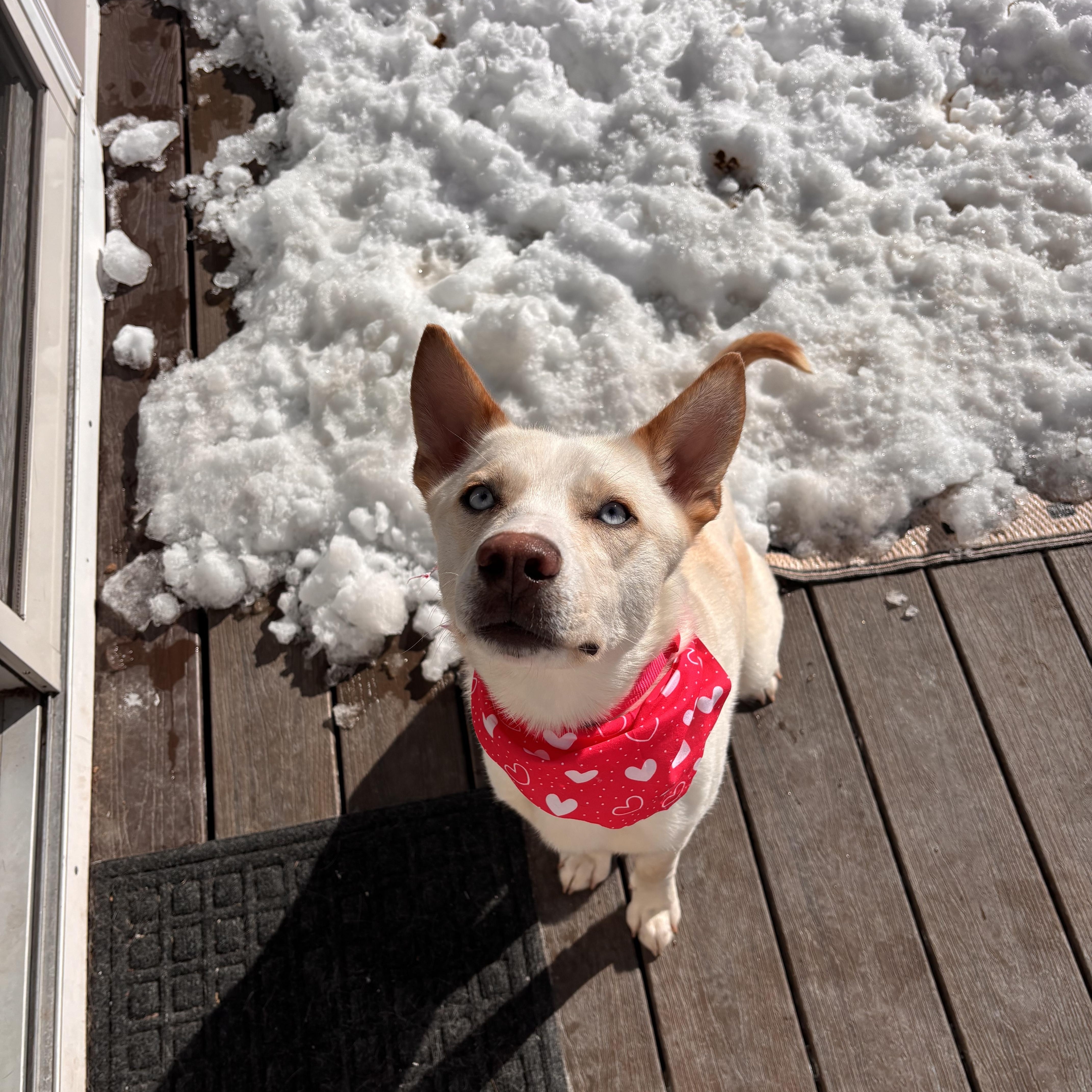 Snow White thumbnail 5