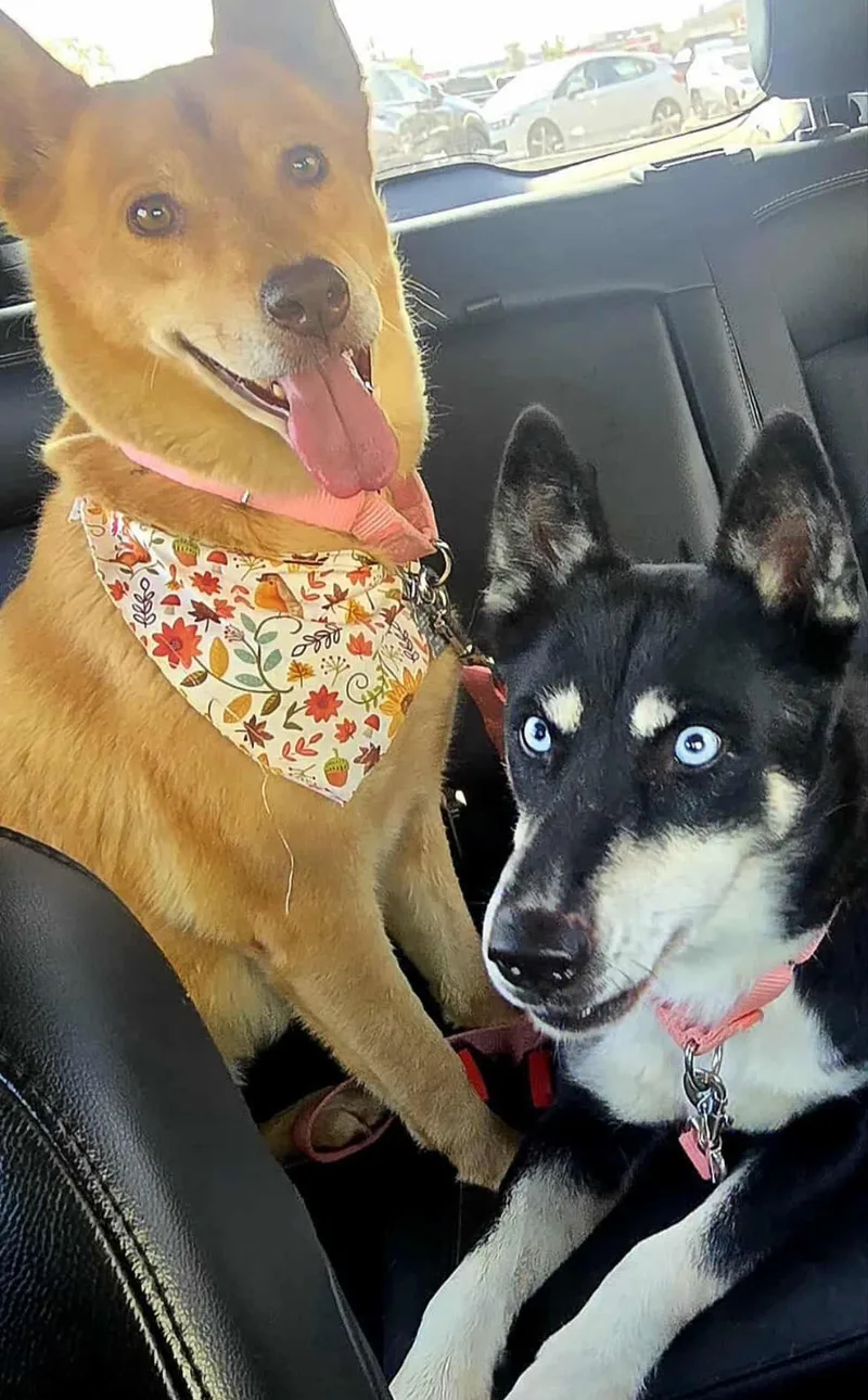 Ginny & Luna thumbnail 2