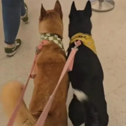 Ginny & Luna thumbnail 3