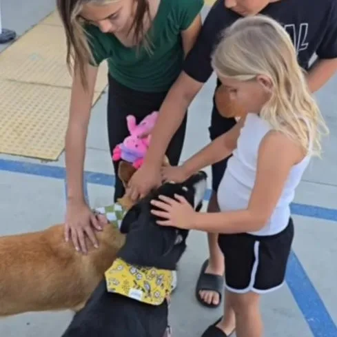 Ginny & Luna thumbnail 6