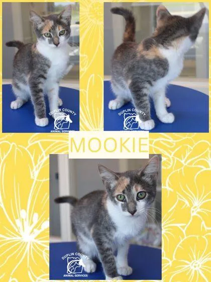 Mookie