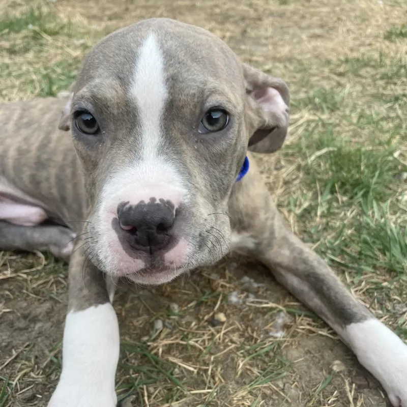 Yosemite thumbnail 2