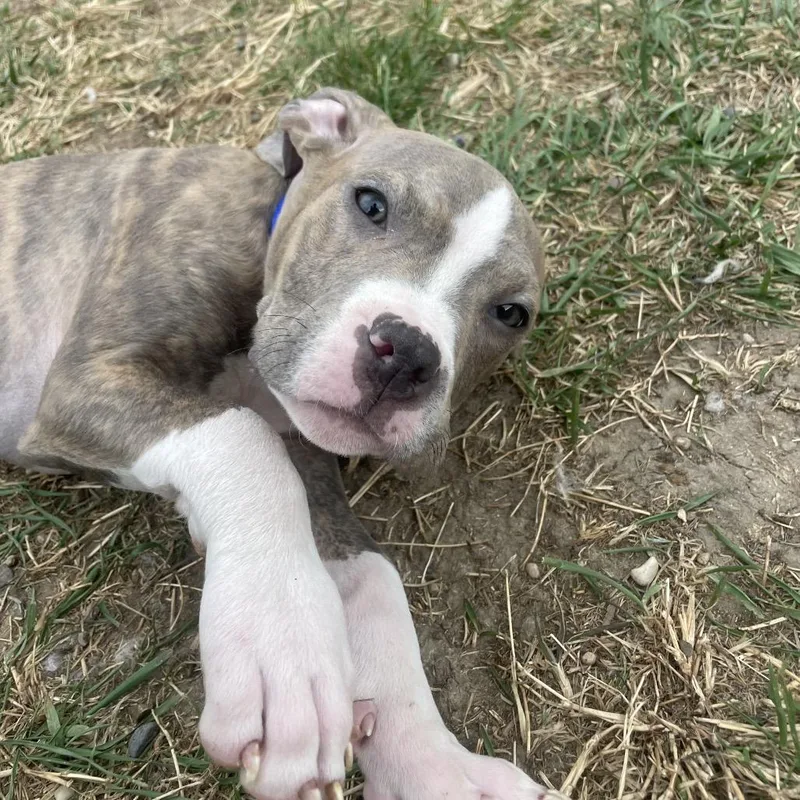 Yosemite thumbnail 3