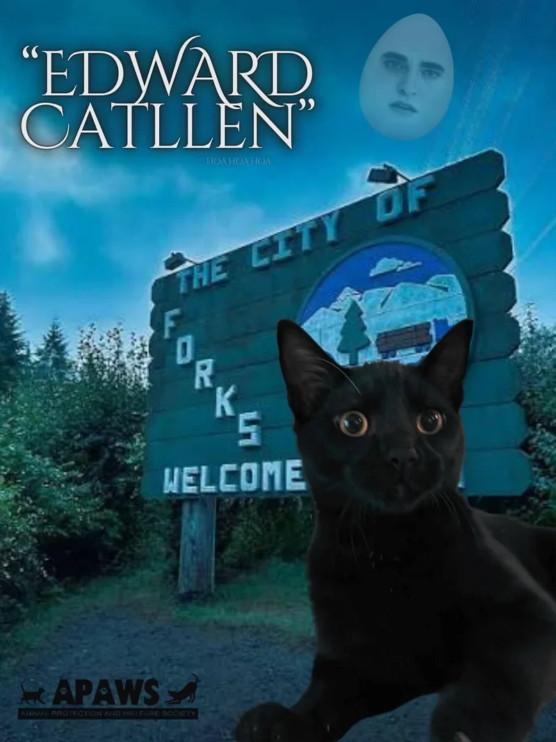 Edward Catllen