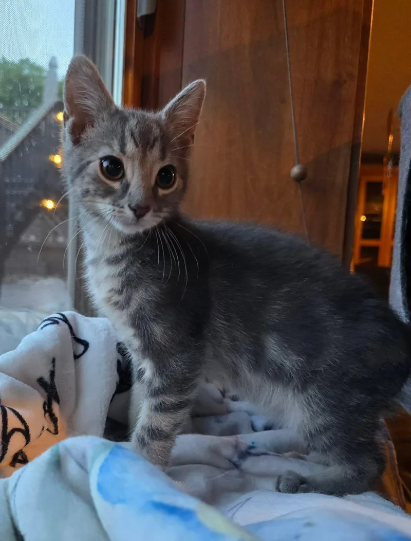Duncan thumbnail 3