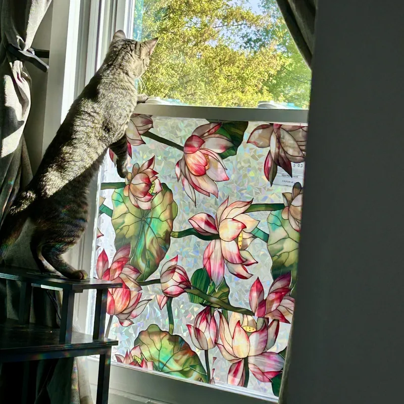 Fred The Fish thumbnail 5