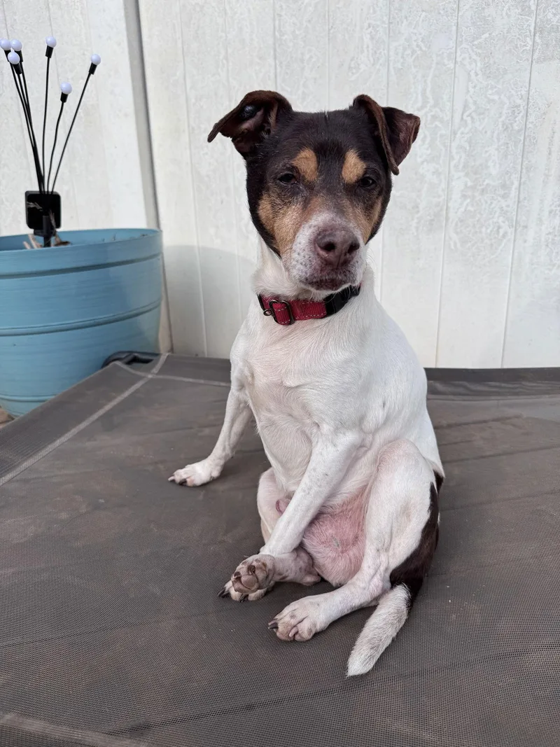 Woodford thumbnail 2