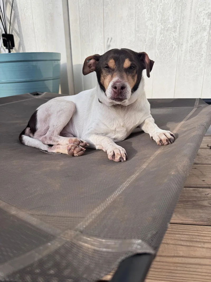 Woodford thumbnail 3