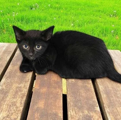 Kassandra thumbnail 3