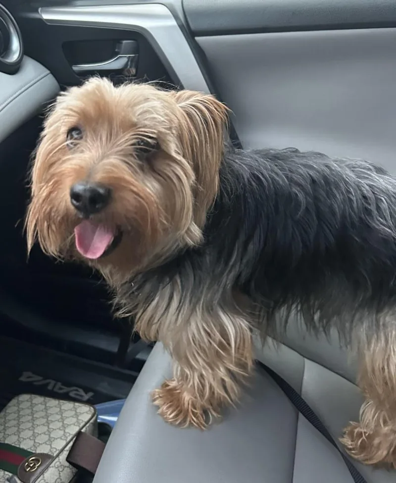 Baby Boy thumbnail 2