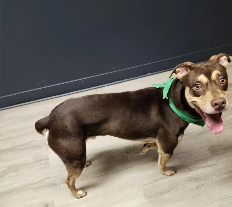 Franklin thumbnail 2