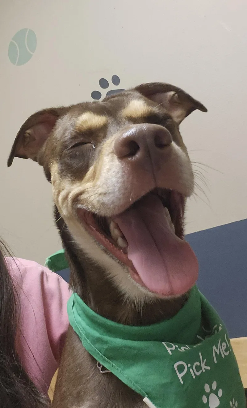 Franklin thumbnail 3