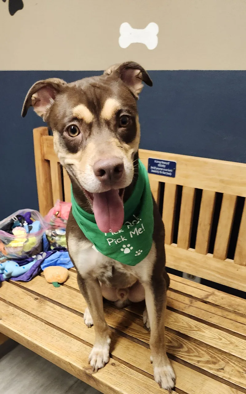 Franklin thumbnail 4