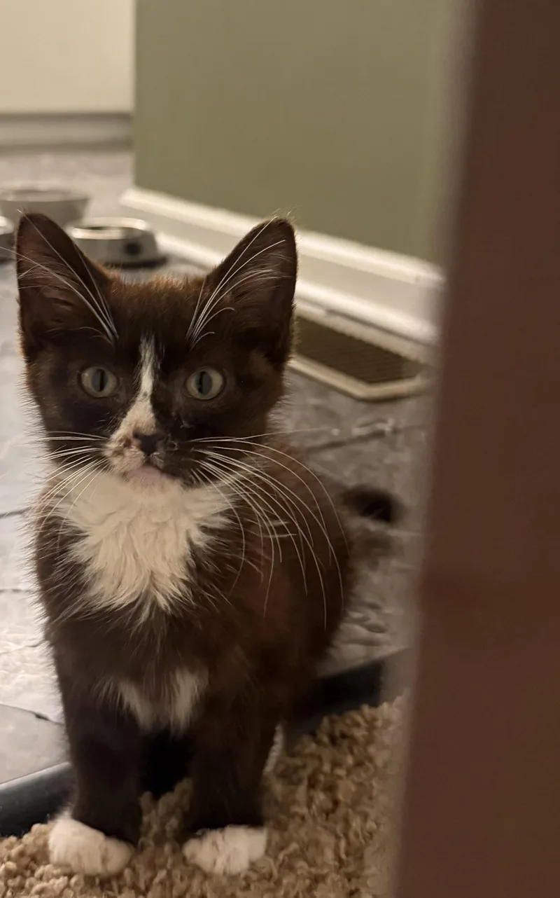 Esther thumbnail 3