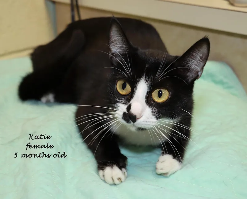 Katie thumbnail 3