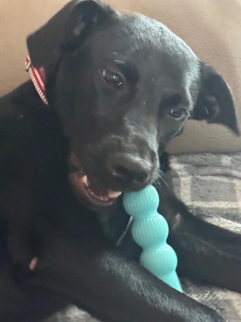 Delilah thumbnail 3