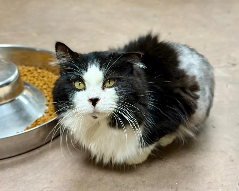 Kilkenny thumbnail 3