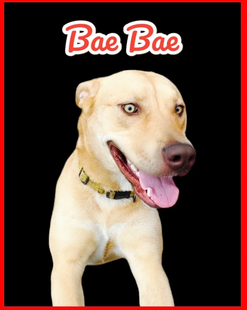 Beautiful Babee thumbnail 2