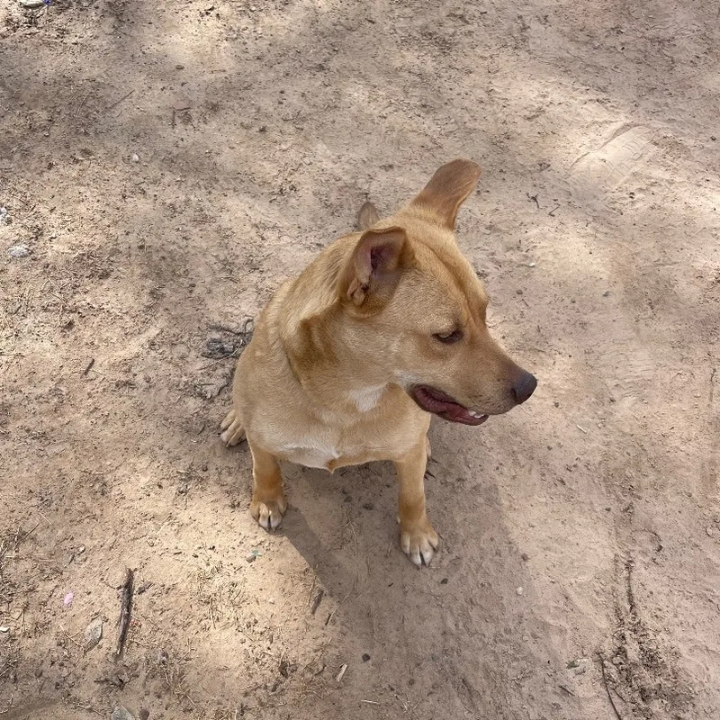 Beautiful Babee thumbnail 3