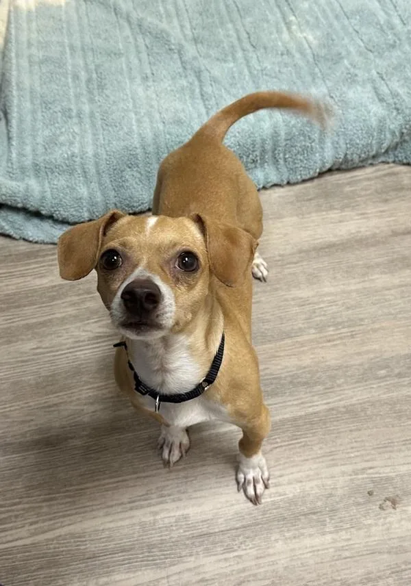 Max