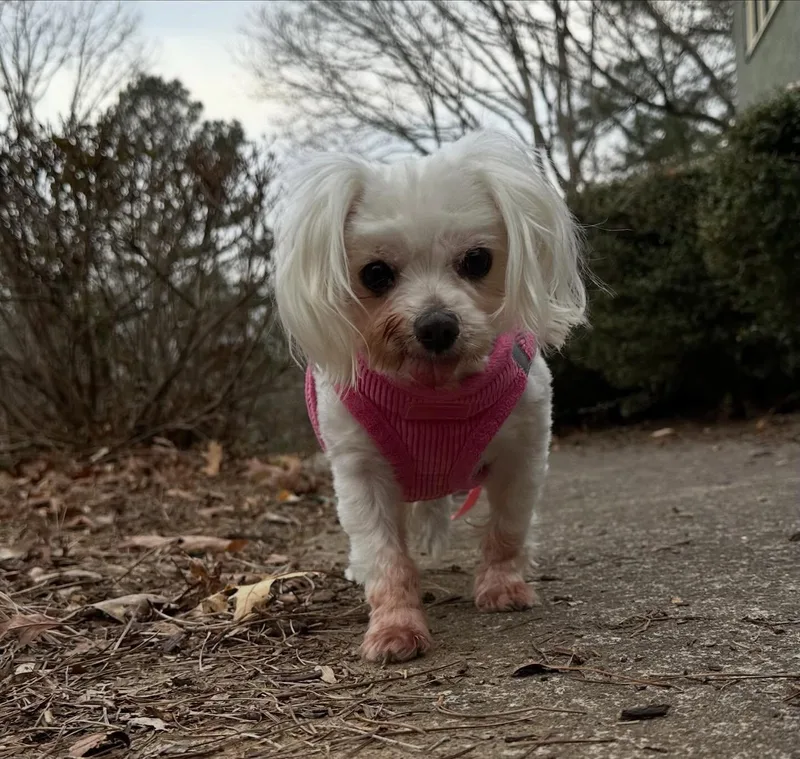 Missy Zelda thumbnail 2