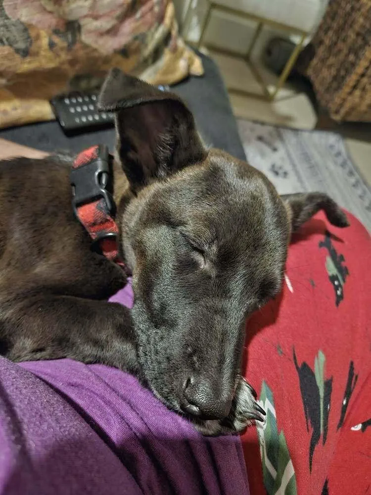 Penny Aka Precious thumbnail 4