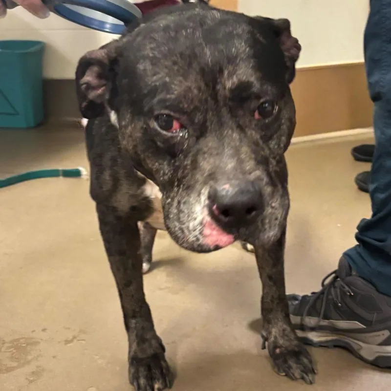 Scented Candle thumbnail 2