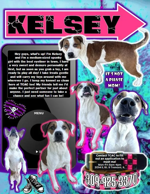 Kelsey thumbnail 6