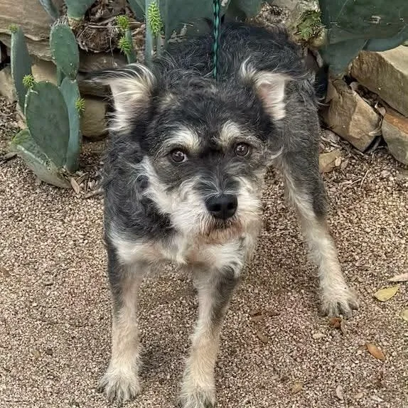 Remmington thumbnail 2