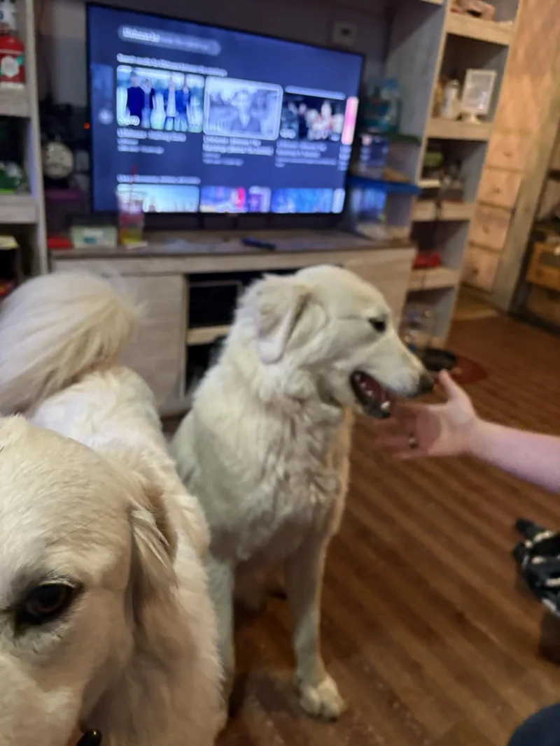 Sugar And Spice thumbnail 5